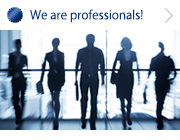 We are professionals.！